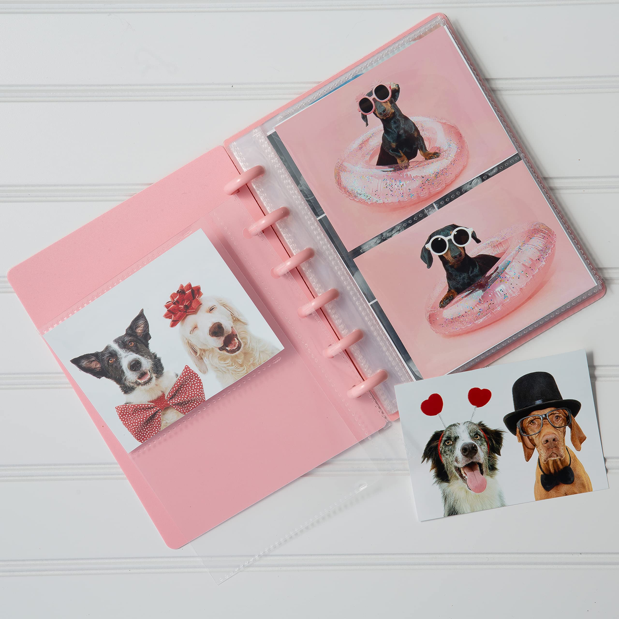 Amazon.com: Smile&Wave Customizable Discbound 3x4 Photo